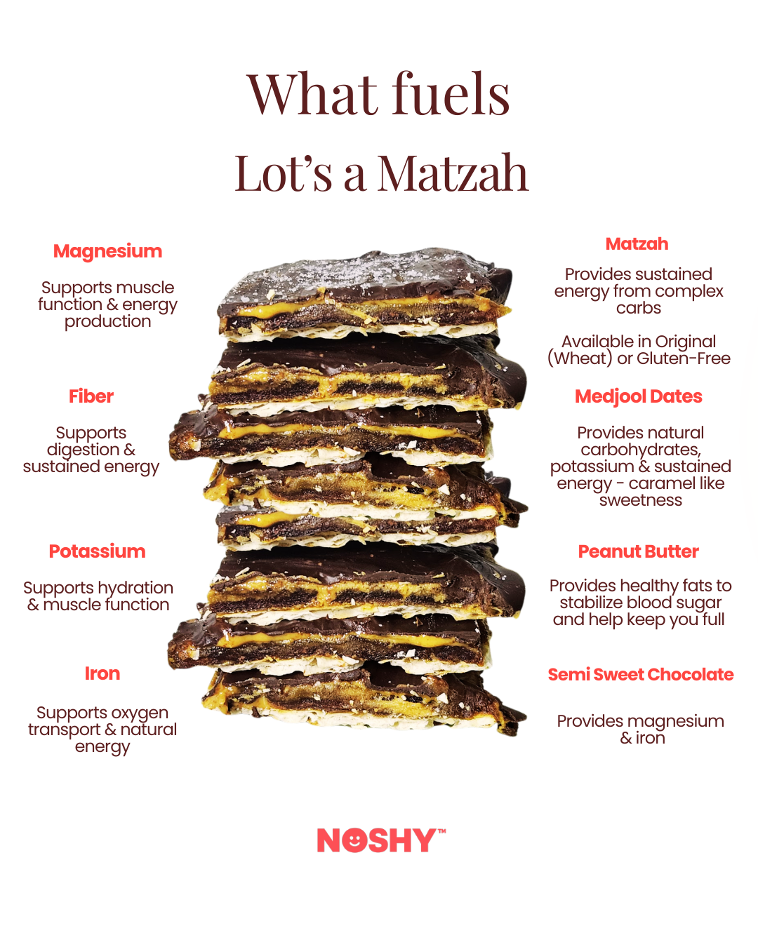 Lot's a Matzah (Gluten-Free)