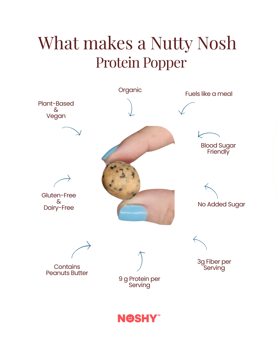 Noshy Nutty Nosh Protein Poppers – NOSHY