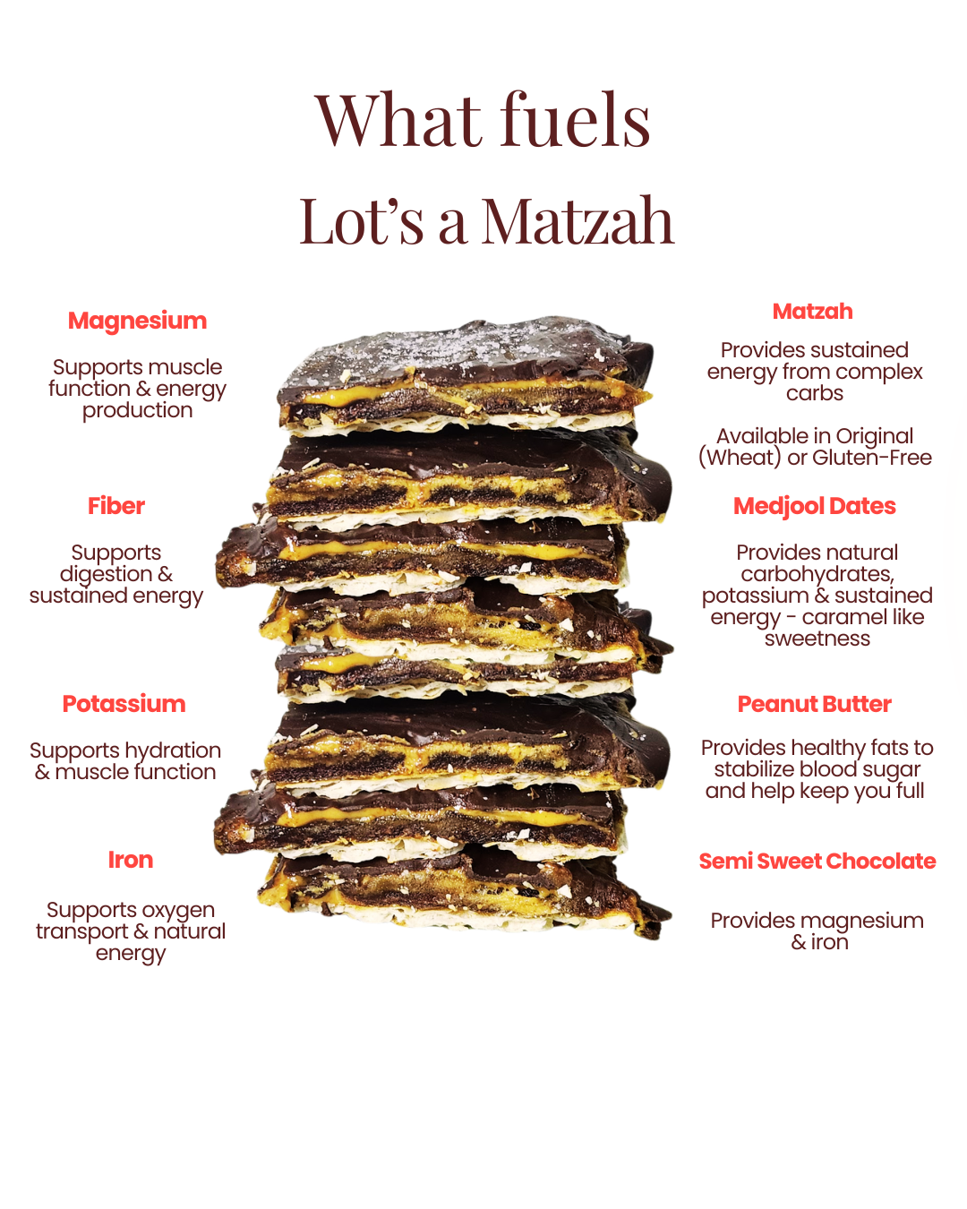 Noshy Lot's a Matzah (Original) – NOSHY